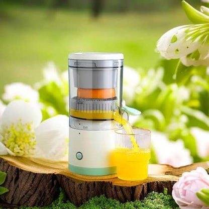 Citrus Juicer